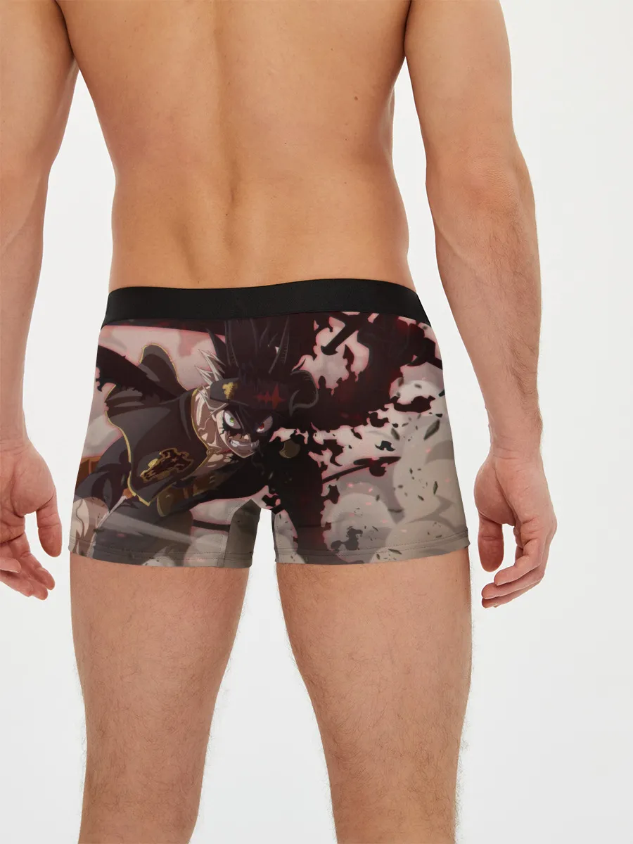Мужские трусы боксеры / Астер в боевой позе