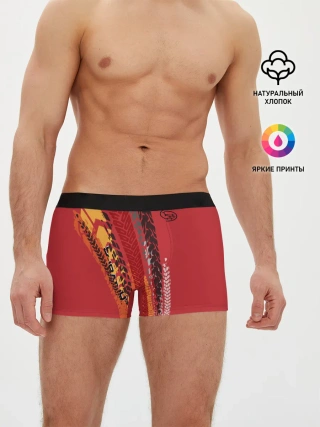 Мужские трусы боксеры / SUBARU