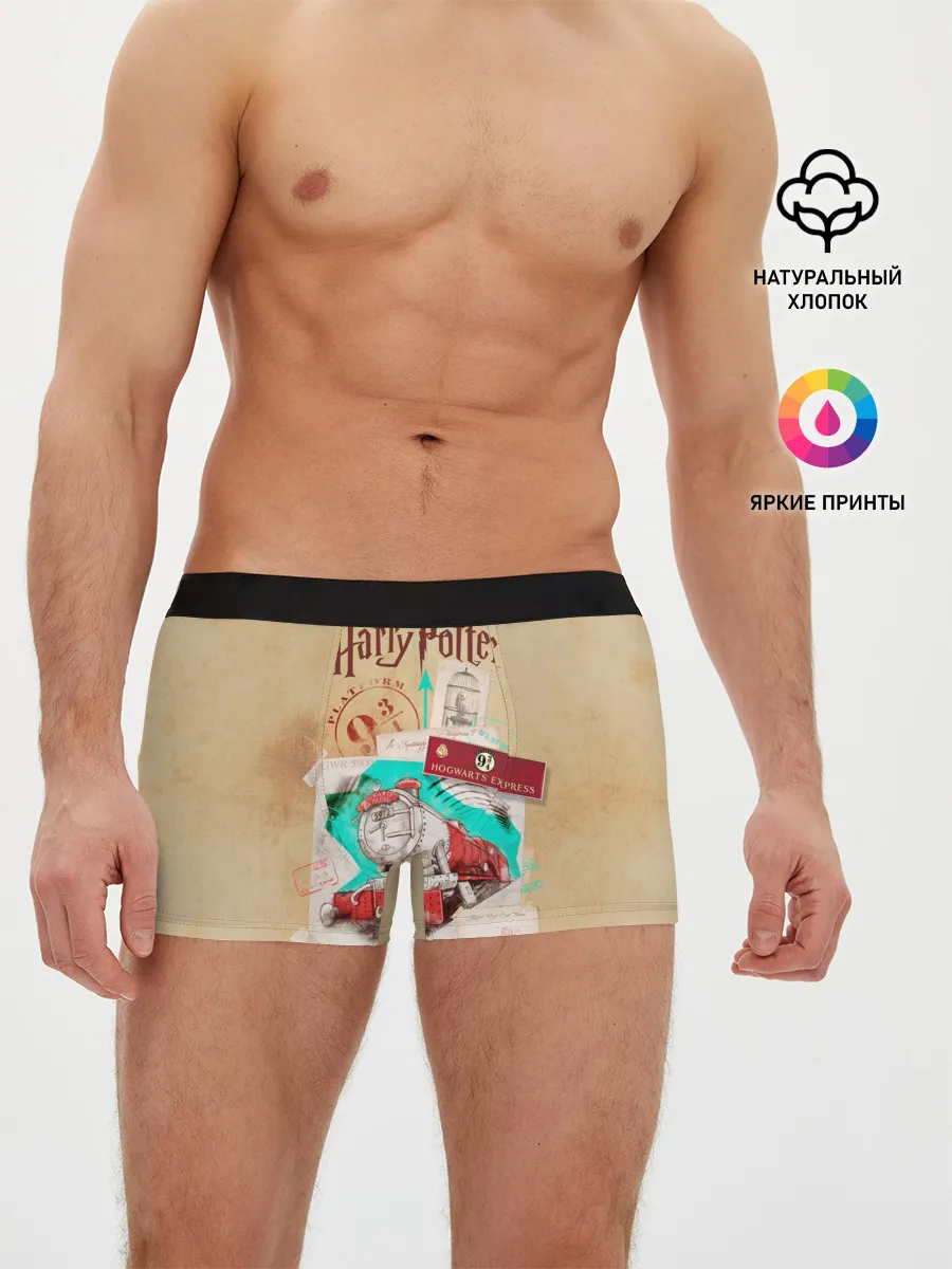 Мужские трусы боксеры / Harry Potter Hogwarts Express