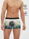 Мужские трусы боксеры / Волк