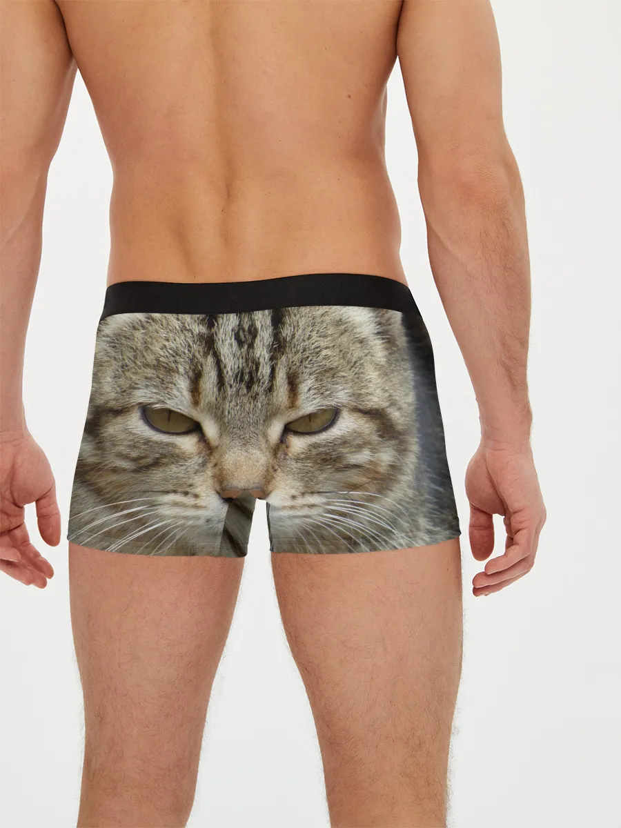 Мужские трусы боксеры / Кот