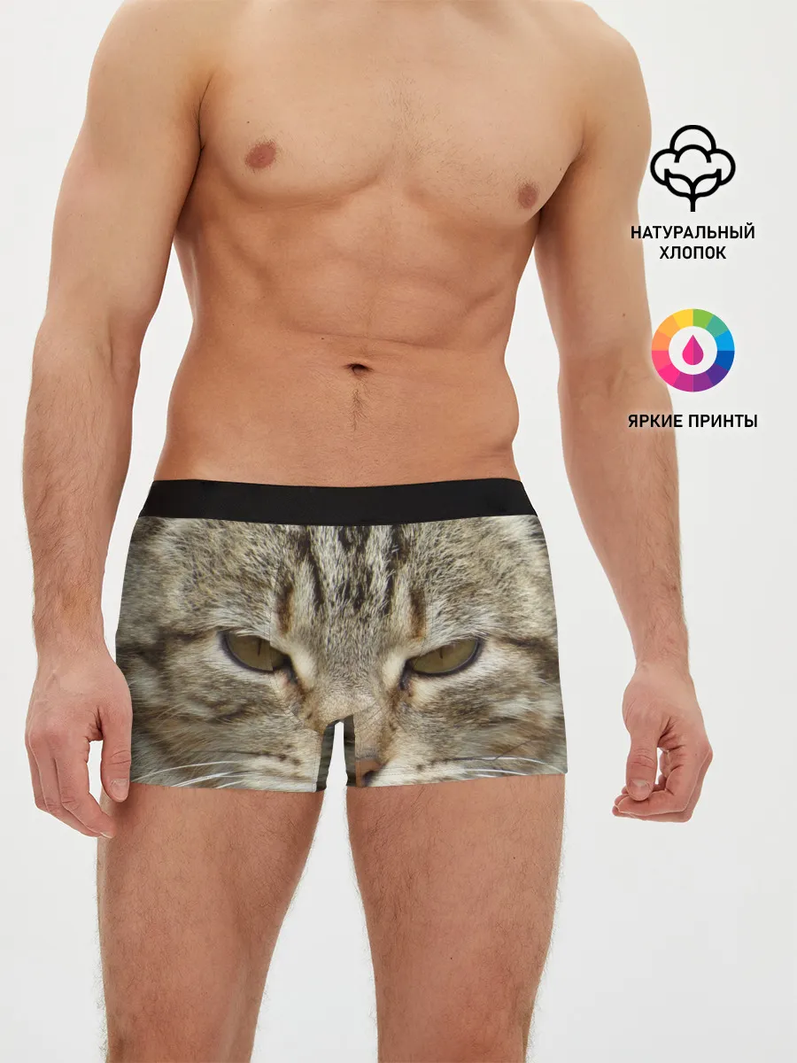Мужские трусы боксеры / Кот