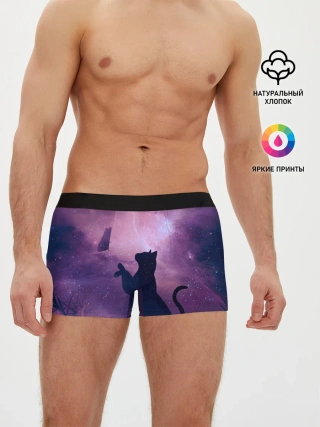 Мужские трусы боксеры / Кошка играет с бабочкой