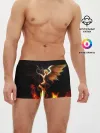 Мужские трусы боксеры / Angel and demon