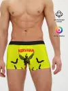Мужские трусы боксеры / NIRVANA