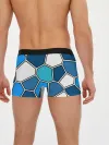 Мужские трусы боксеры / Ледяной витраж