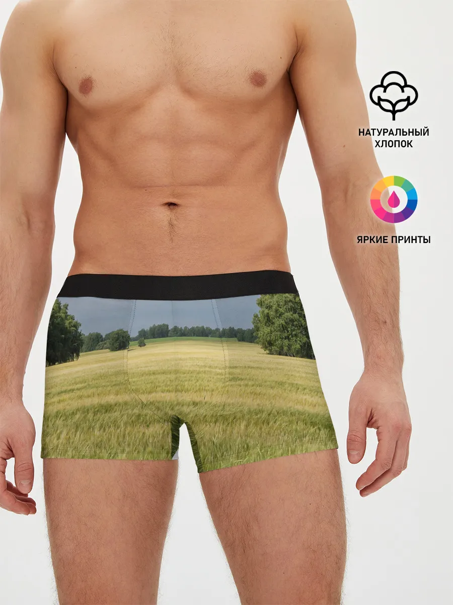 Мужские трусы боксеры / Пшеничное поле
