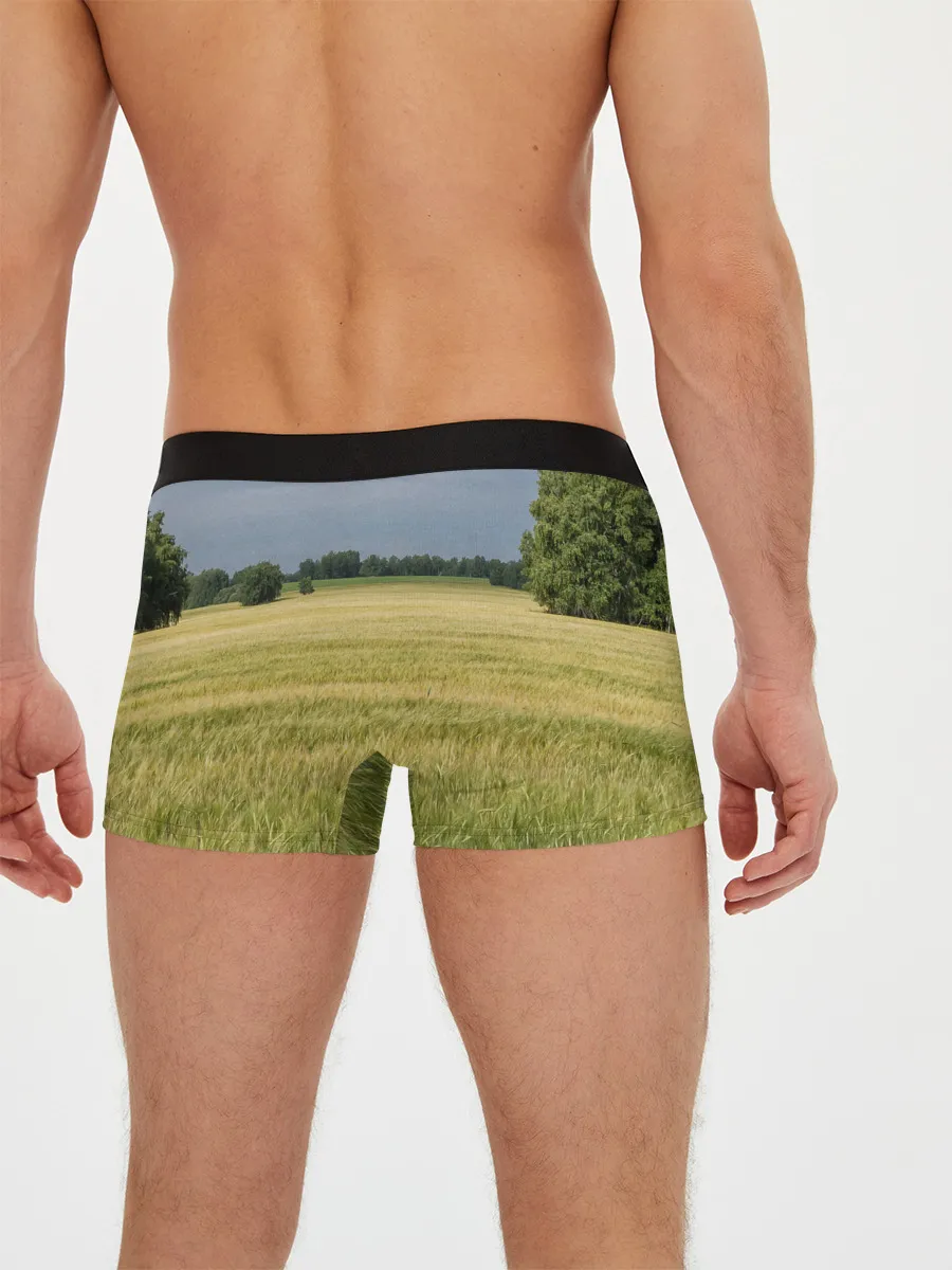 Мужские трусы боксеры / Пшеничное поле