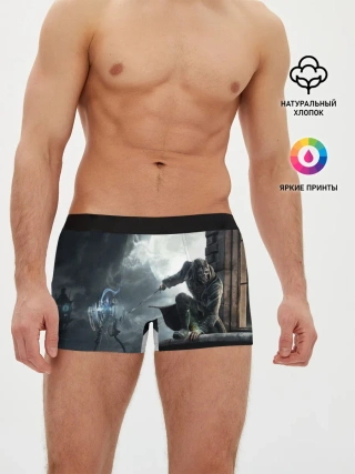 Мужские трусы боксеры / Dishonored