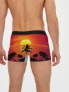 Мужские трусы боксеры / Пальмы на фоне моря