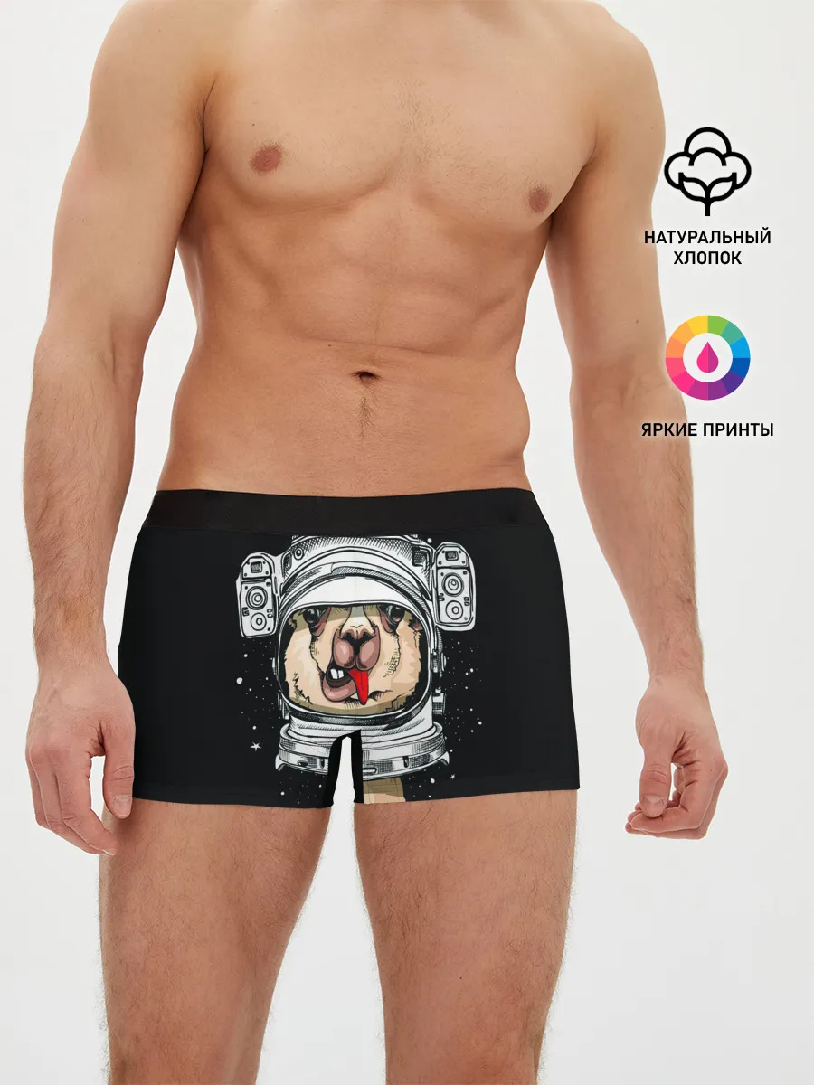 Мужские трусы боксеры / Космическая Лама