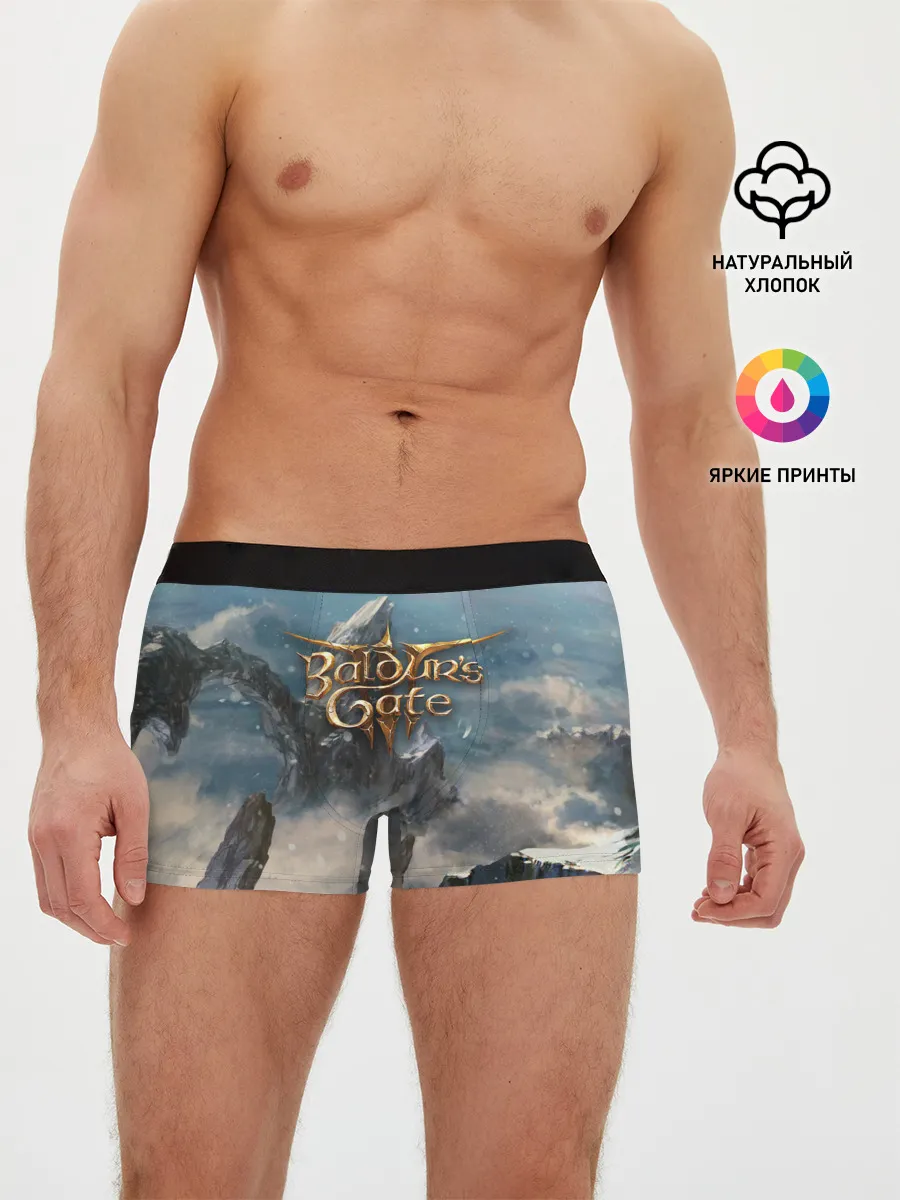 Мужские трусы боксеры / Baldurs Gate