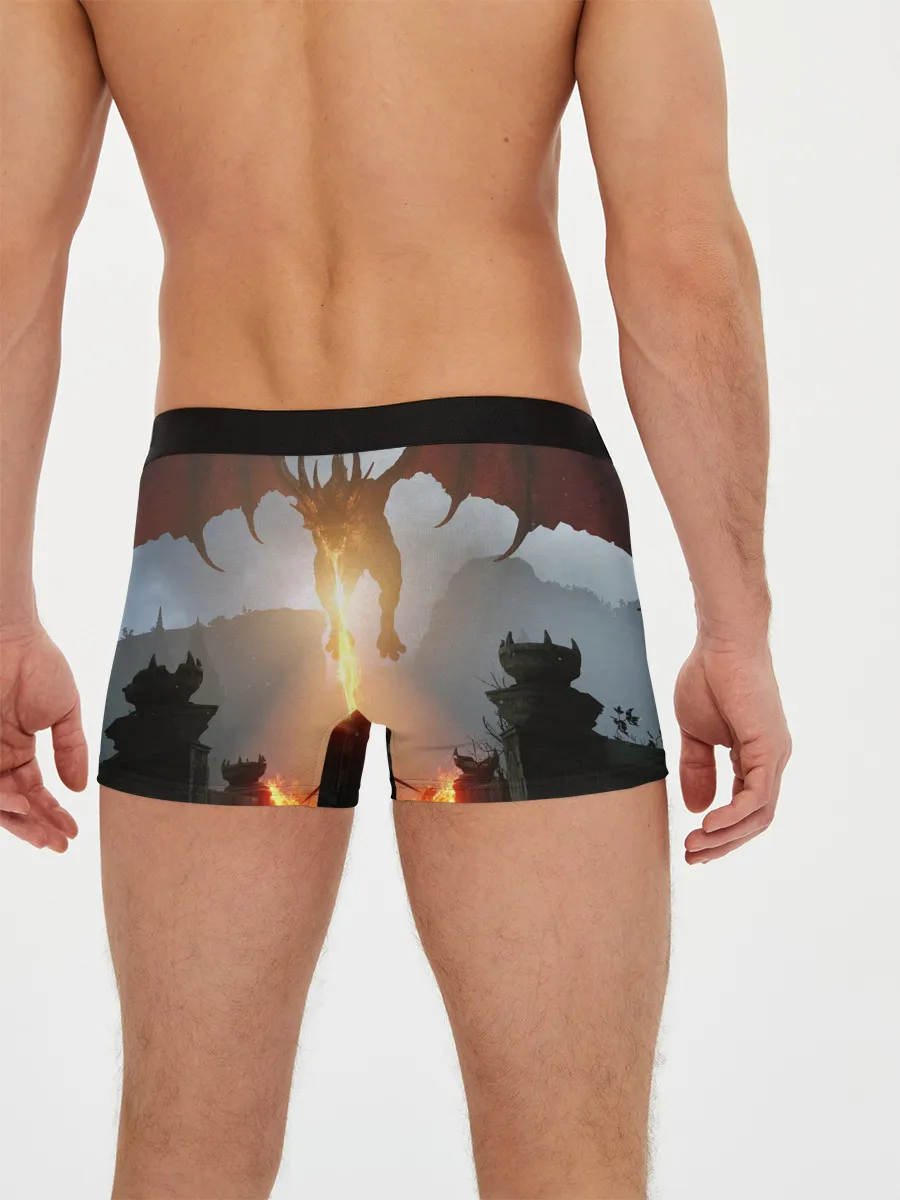 Мужские трусы боксеры / Demons Souls