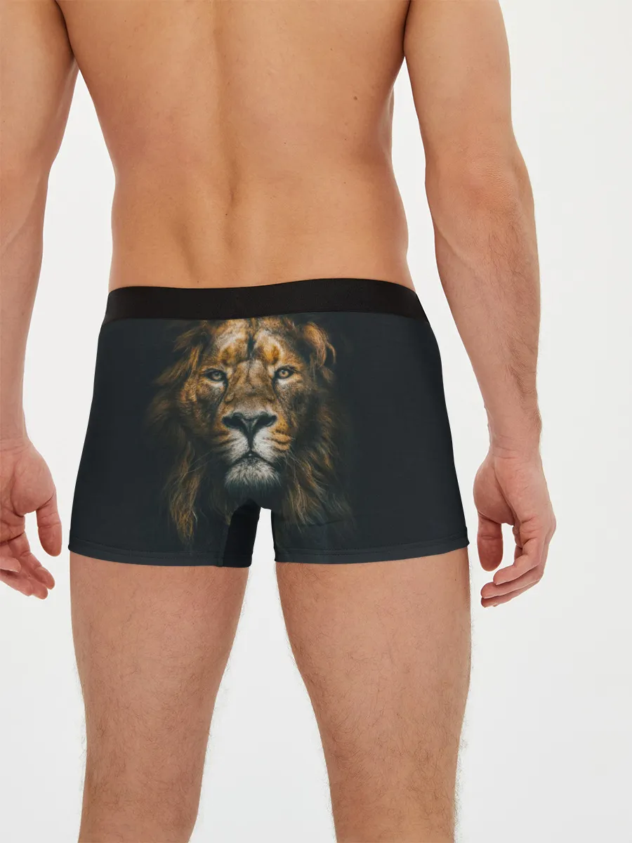 Мужские трусы боксеры / Лев