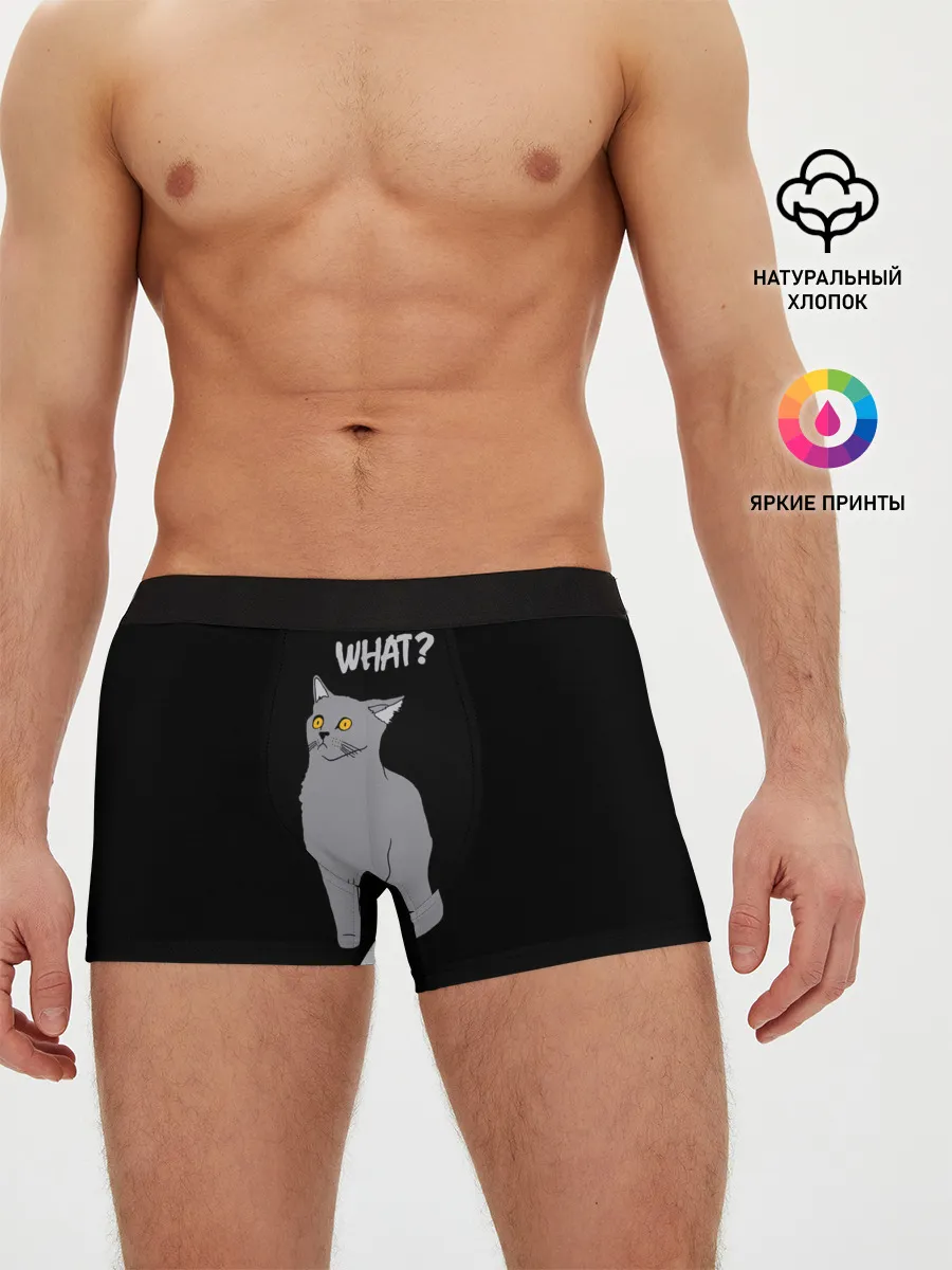 Мужские трусы боксеры / What cat