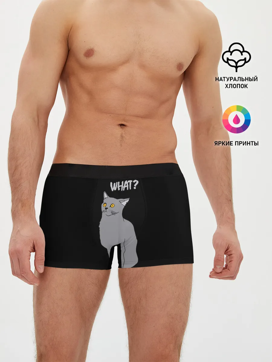 Мужские трусы боксеры / What cat