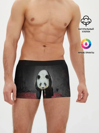 Мужские трусы боксеры / ПАНДА