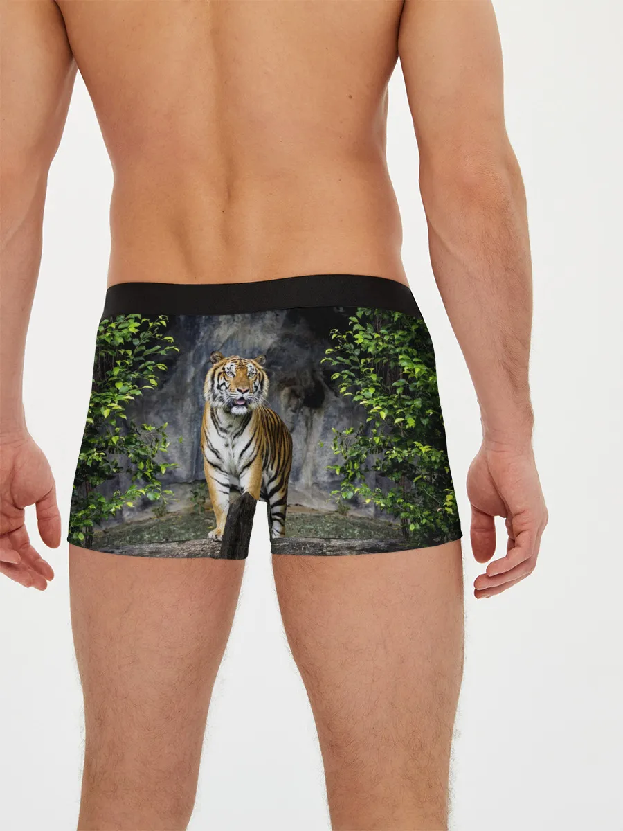 Мужские трусы боксеры / ТИГР В ЛЕСУ