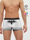 Мужские трусы боксеры / ЧЁРНЫЙ ВОРОН