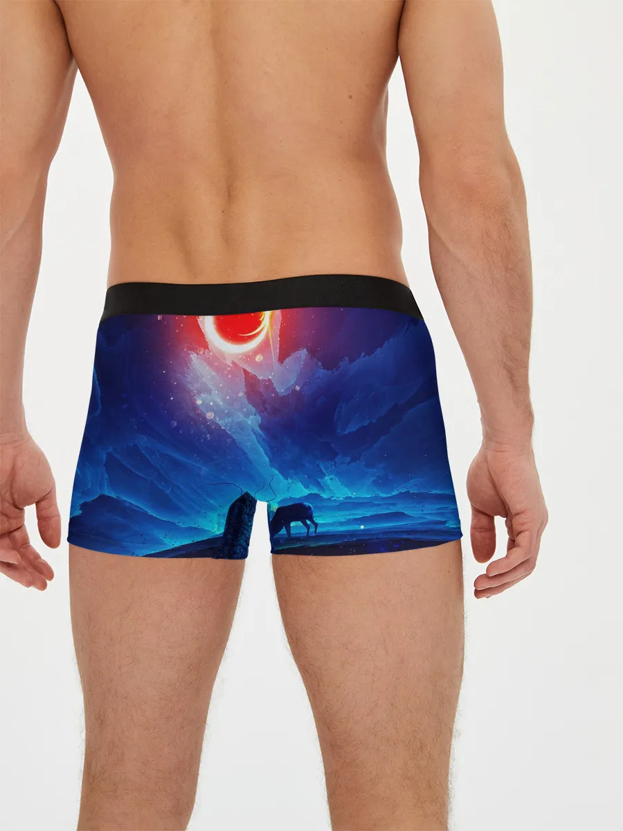 Мужские трусы боксеры / FANTASY