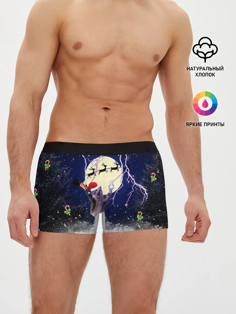 Мужские трусы боксеры / Новогодний Кот