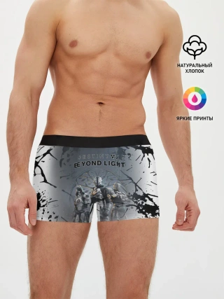 Мужские трусы боксеры / Destiny 2: Beyond Light