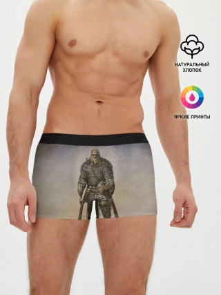 Мужские трусы боксеры / СЛАВА РУСИ