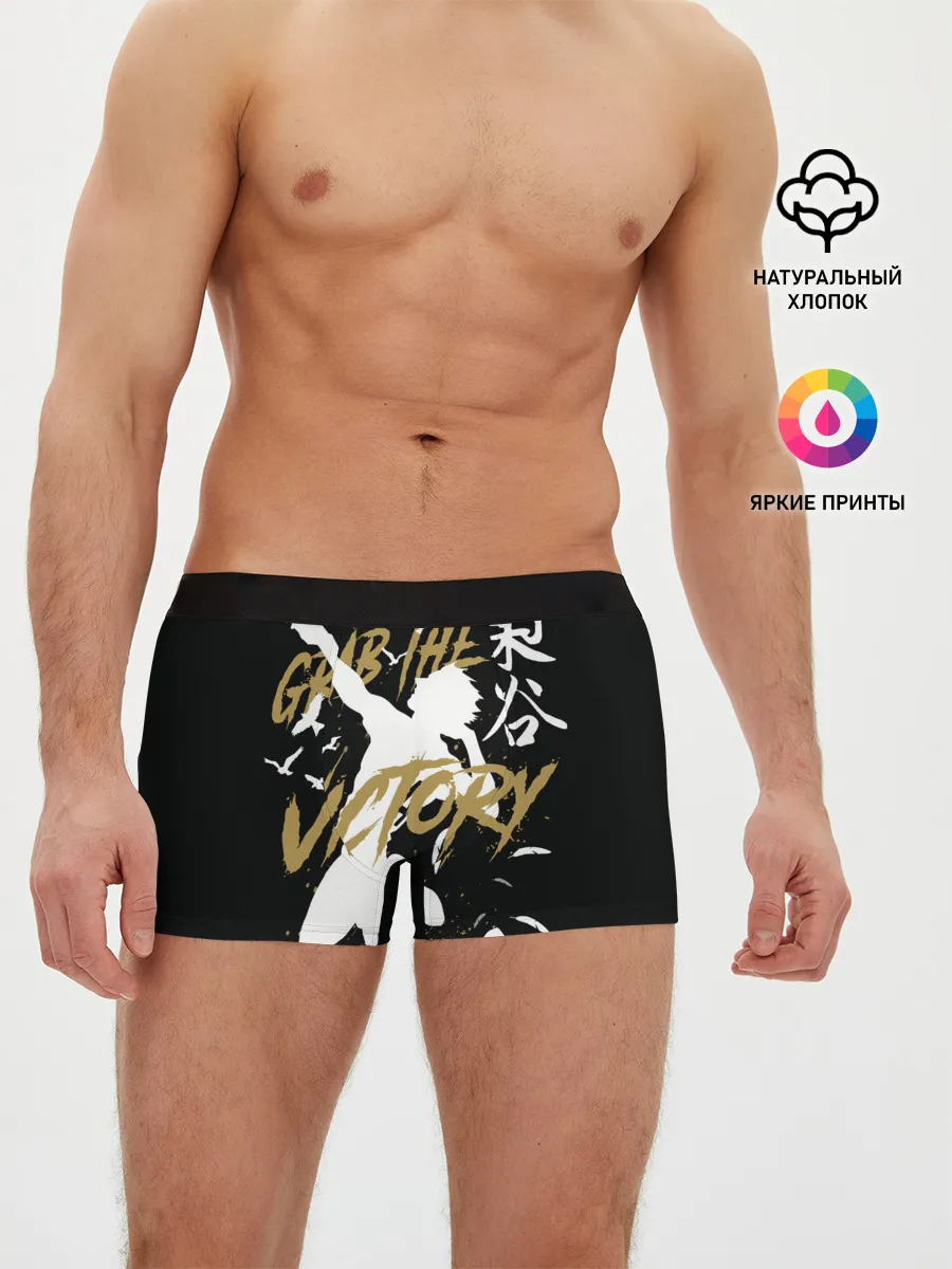 Мужские трусы боксеры / Haikyu Grab The Victory