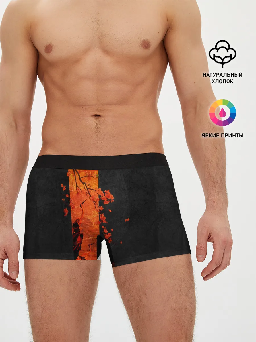 Мужские трусы боксеры / ЦАПЛЯ
