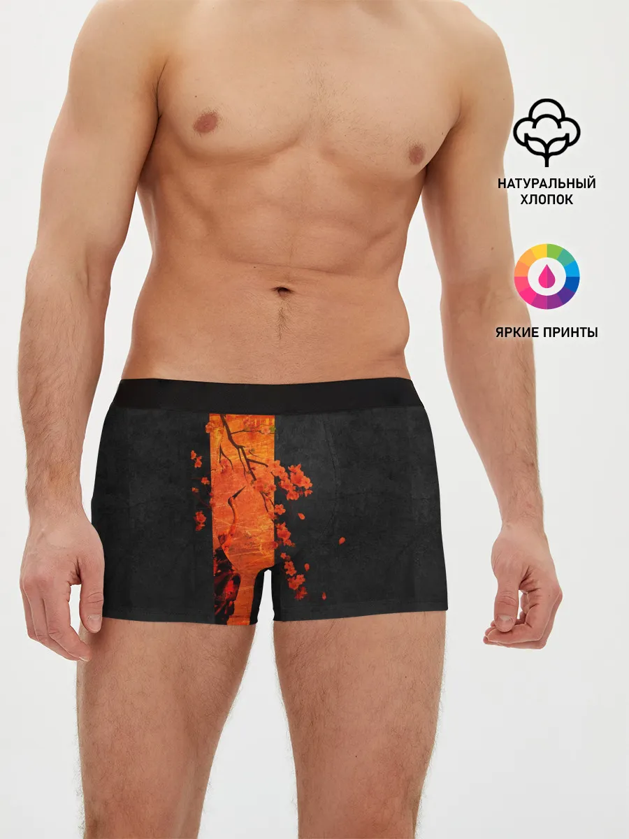 Мужские трусы боксеры / ЦАПЛЯ
