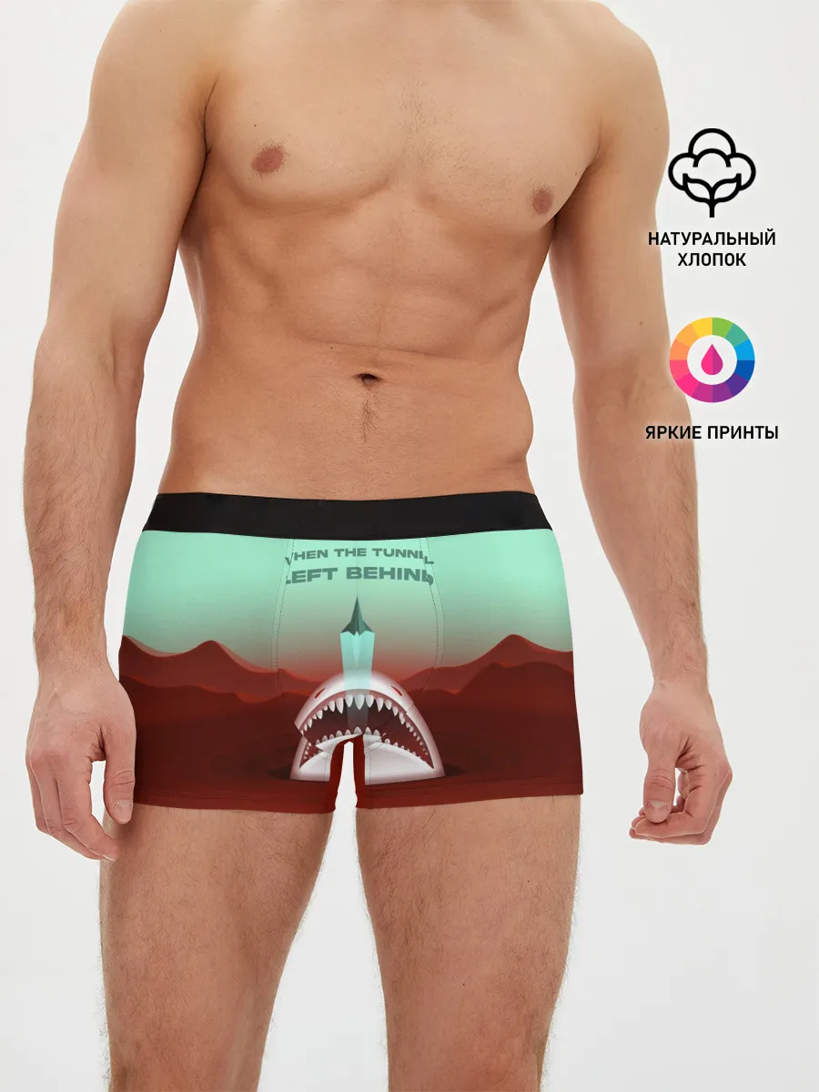 Мужские трусы боксеры / Boris Norris - When the Tunnel