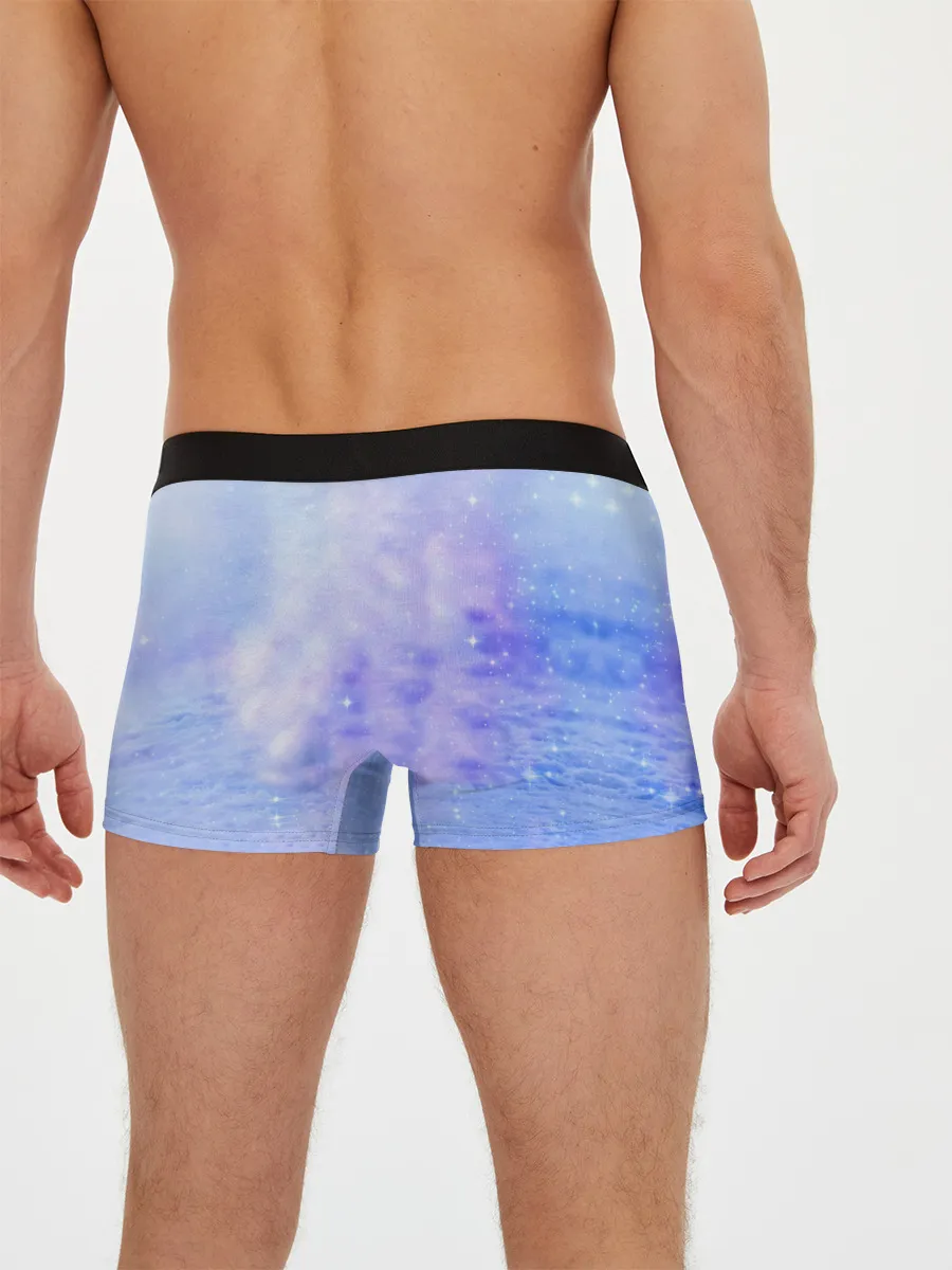 Мужские трусы боксеры / Полярная Лисица