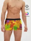 Мужские трусы боксеры / Осенние листья