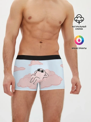Мужские трусы боксеры / мем