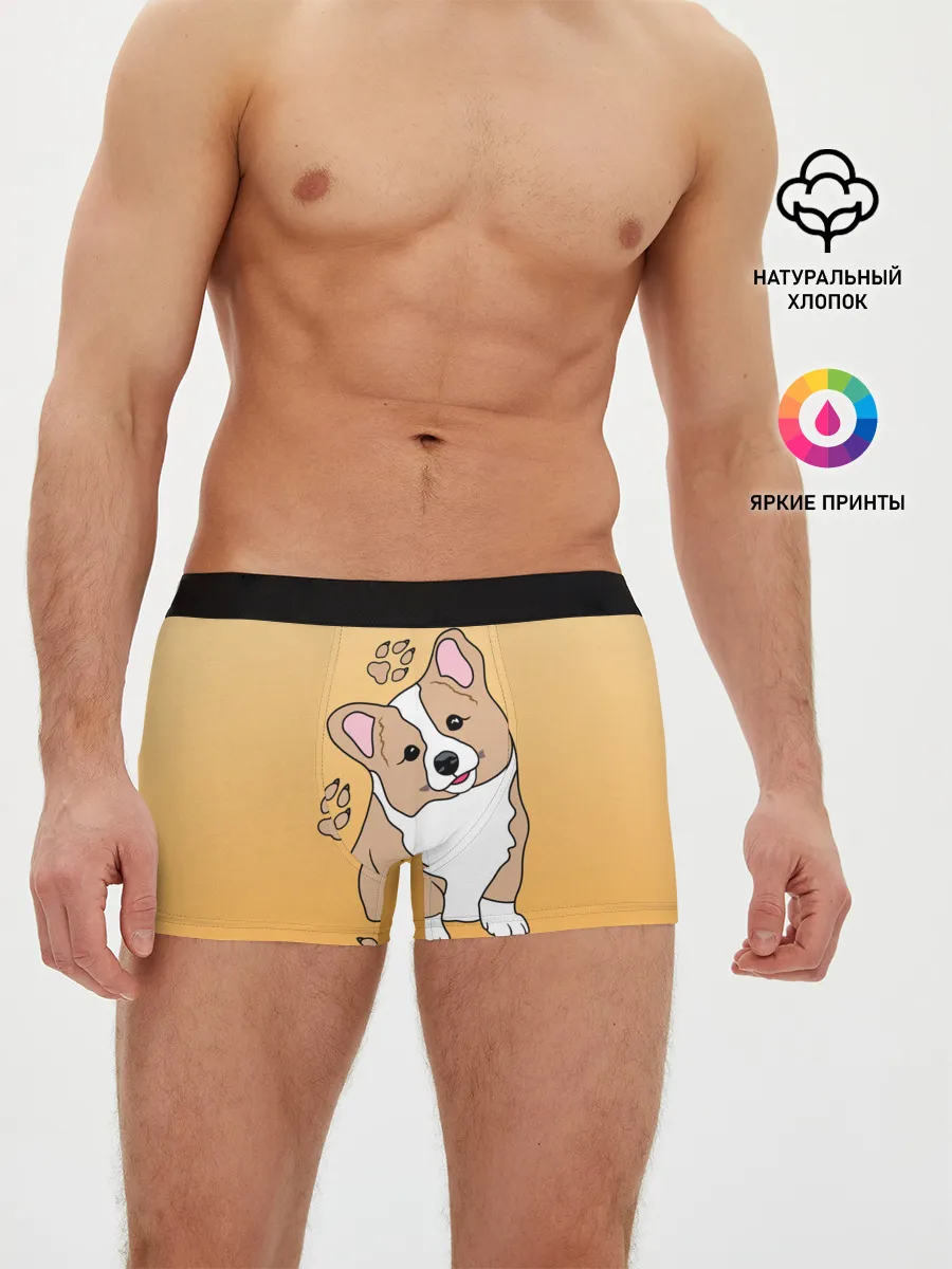 Мужские трусы боксеры / Персик Корги