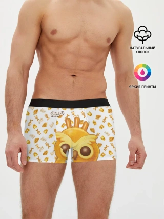 Мужские трусы боксеры / Fwooper Cookie