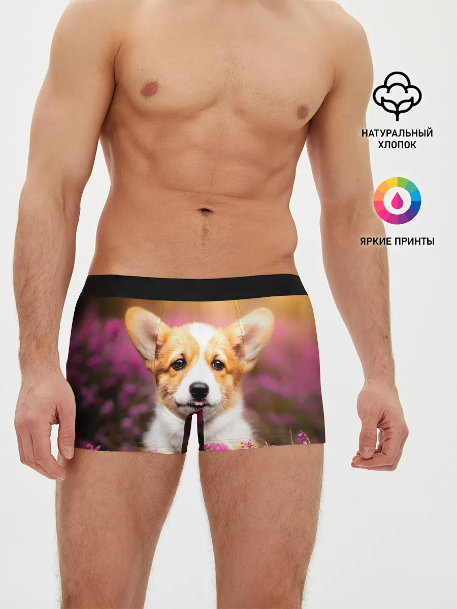 Мужские трусы боксеры / Вельш-корги