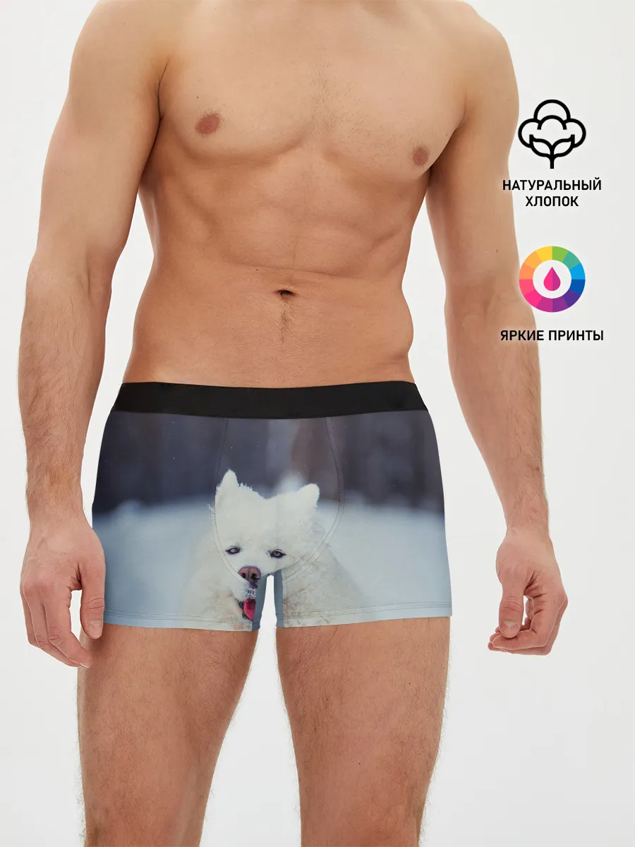 Мужские трусы боксеры / САМОЕД