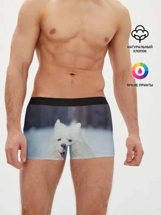 Мужские трусы боксеры / САМОЕД