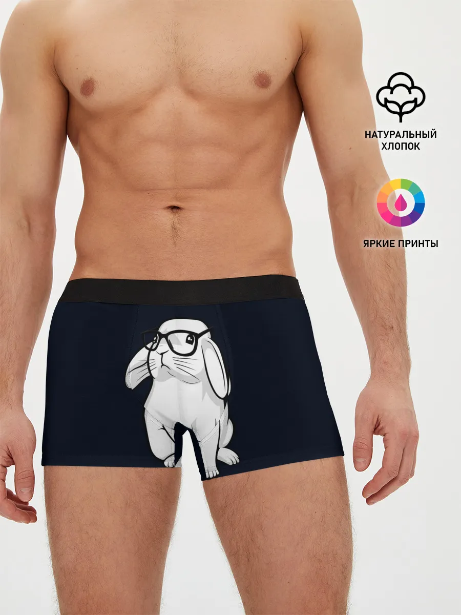 Мужские трусы боксеры / Кролик Хипстер