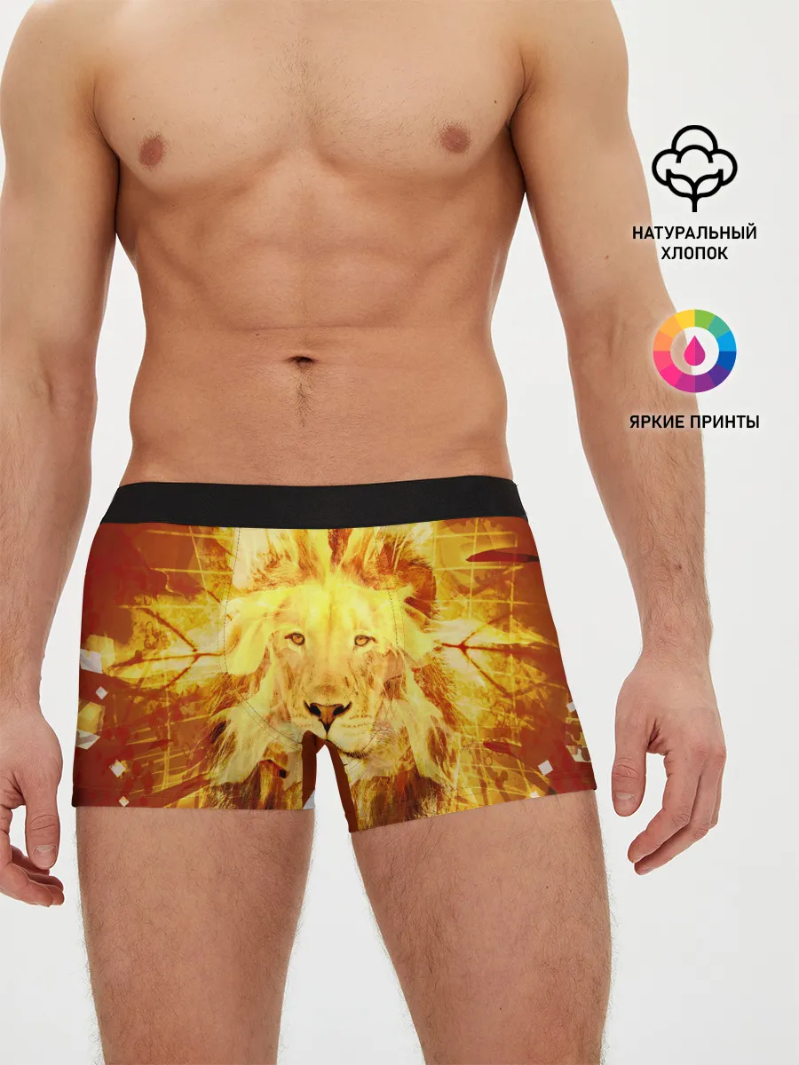 Мужские трусы боксеры / Лев