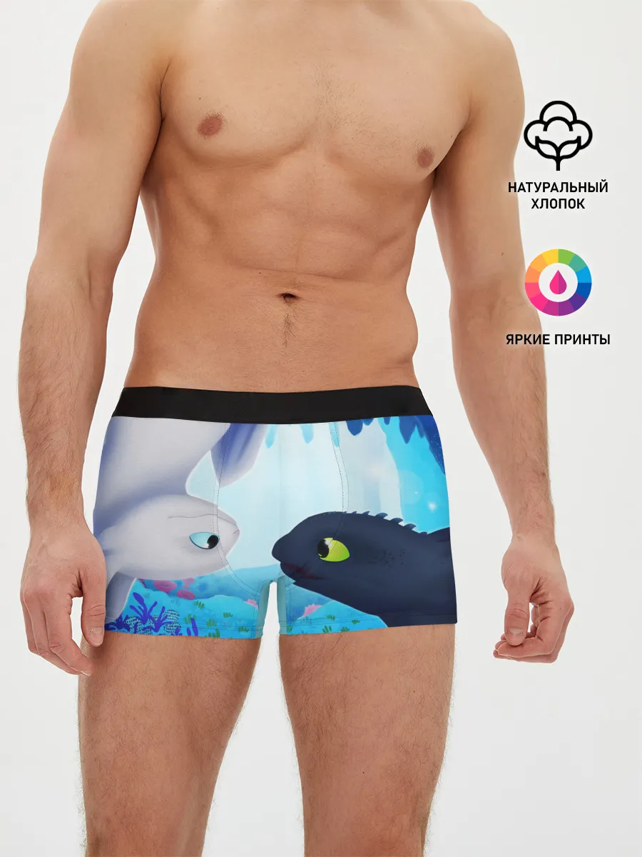 Мужские трусы боксеры / Приручить Дракона