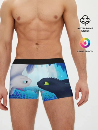 Мужские трусы боксеры / Приручить Дракона