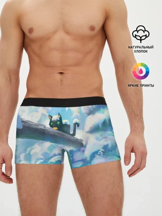 Мужские трусы боксеры / Снежный котенок