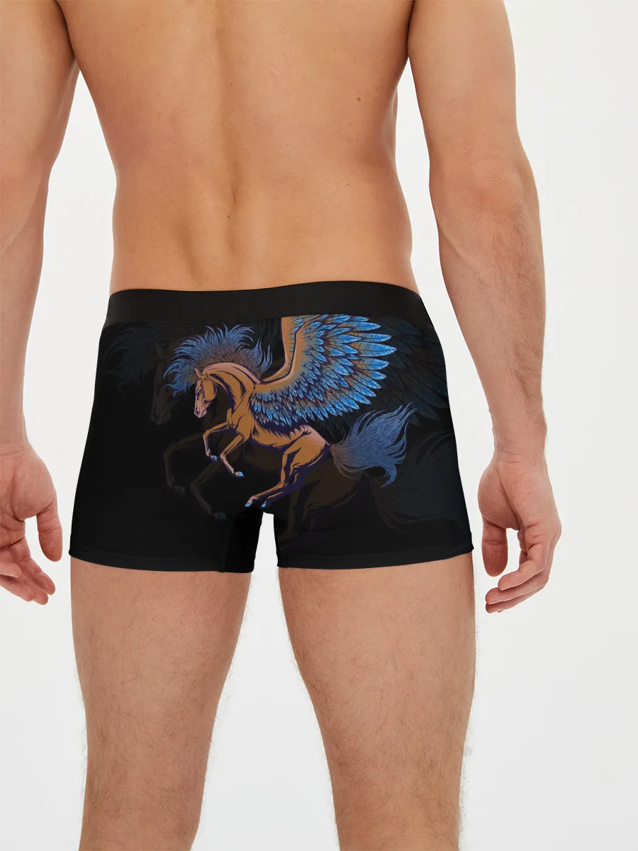 Мужские трусы боксеры / Pegasus wings
