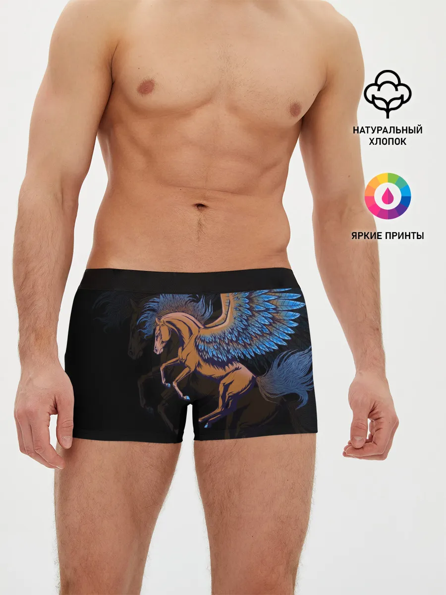 Мужские трусы боксеры / Pegasus wings