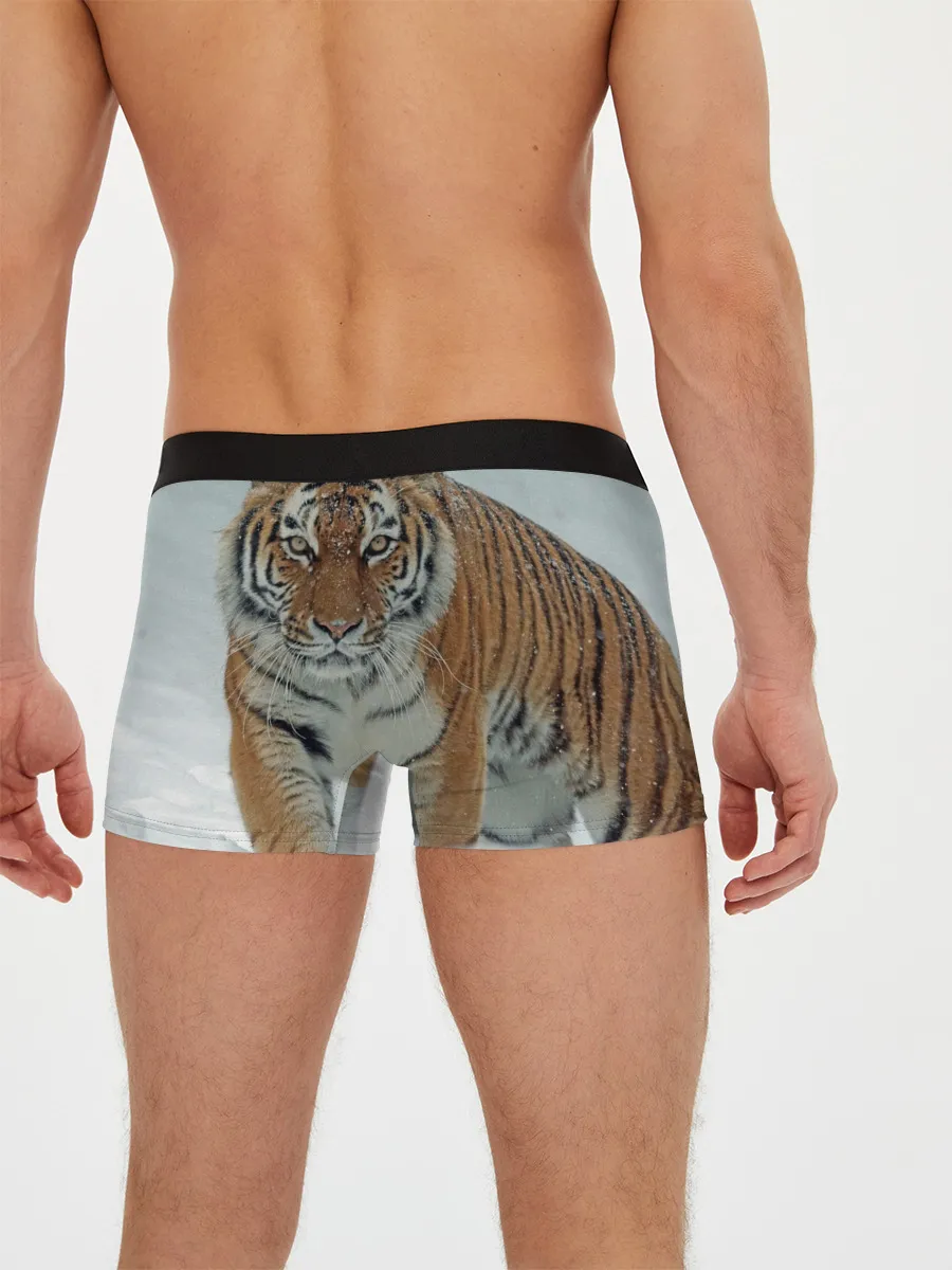 Мужские трусы боксеры / Тигр
