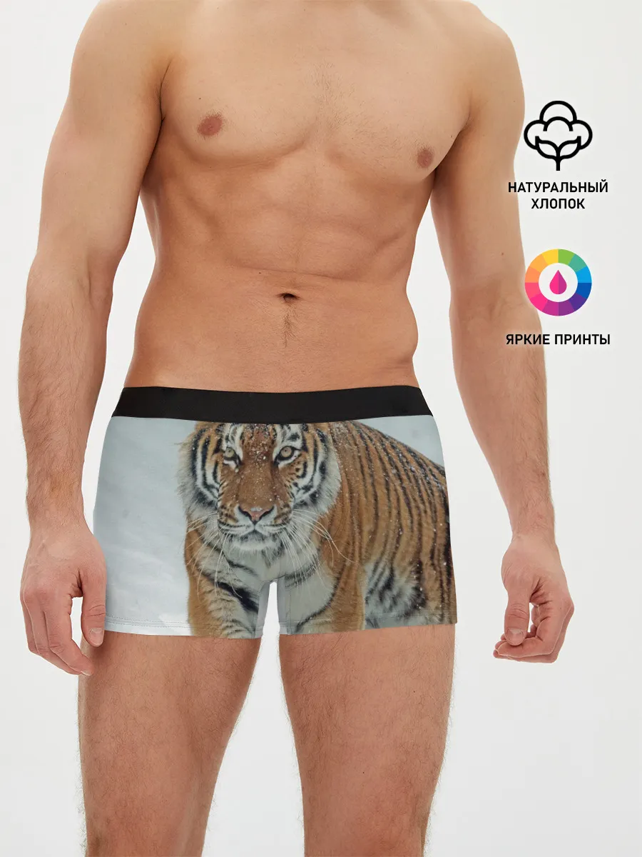 Мужские трусы боксеры / Тигр