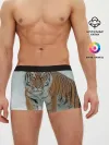 Мужские трусы боксеры / Тигр
