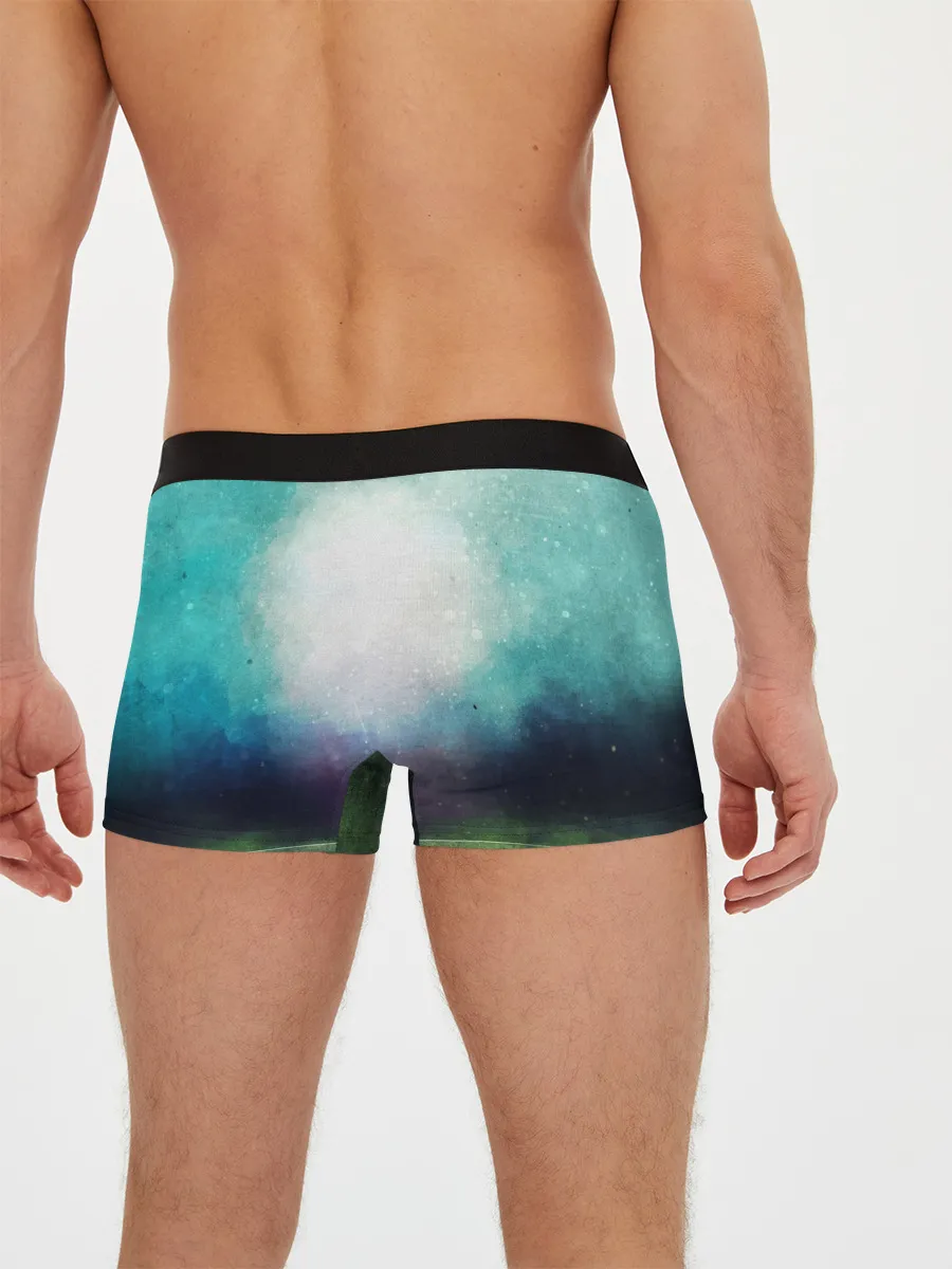 Мужские трусы боксеры / 10 number